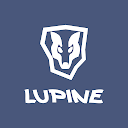 Lupine Light Control 3.0 