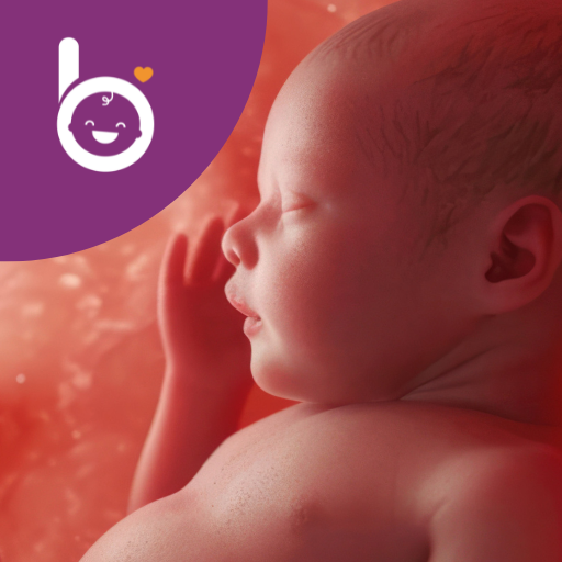 Babelli Schwangerschafts App Header - AppWisp.com