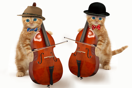 ✓[Updated] Talking Cats android App Download (2021)