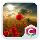 Field Of Poppies CLauncher icon