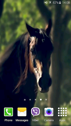 Horse 4K Video Live Wallpaper Screen 2