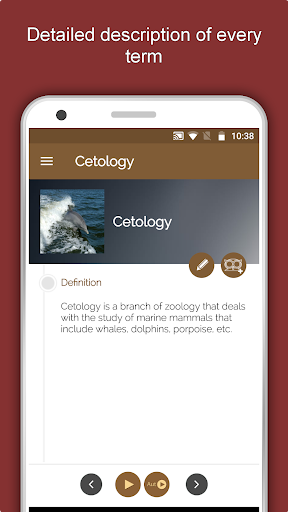 Screenshot of Zoology: Animal Kingdom Study