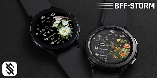 BFF29- Blackboard Art Birds screenshot 5