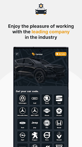 Car Radio Code Screen 2