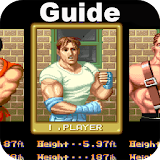 Guide for Final Fight icon