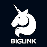 Biglink Business Networking icon