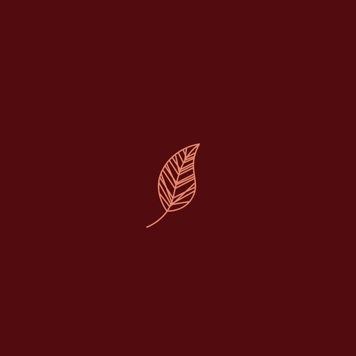 Studio Zamora - Viva a Beleza logo