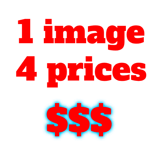 1 image 4 prices