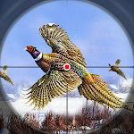 Cover Image of Download Pheasant birds hunting Games  APK