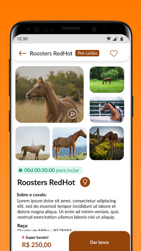 Horse Bids Screen 3