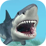 Angry Shark Fishing World icon