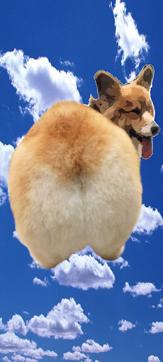 Android application Corgi Fart screenshort