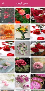 صور ورود - flowers pictures
