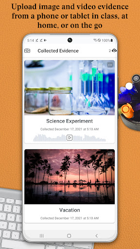 Brightspace Portfolio Screen 3