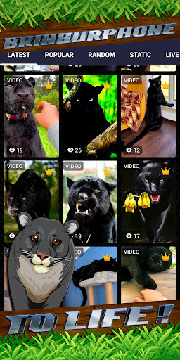 panther wallpaper Screen 2