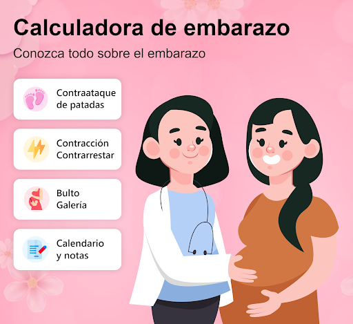 Vista previa de la aplicación