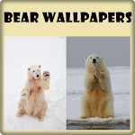 Cover Image of Download Cute Bear Wallpapers HD  APK