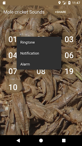 เสียงแมงจีซอน Screen 2