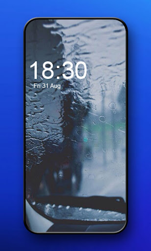 Rainy forest wallpaper