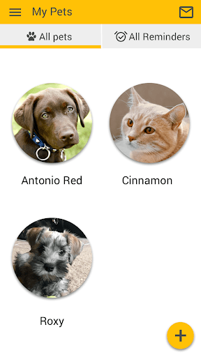 Ideal Vet Screen 3