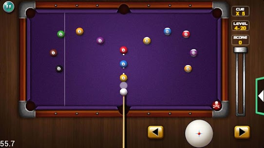 Pocket Pool Pro For PC installation