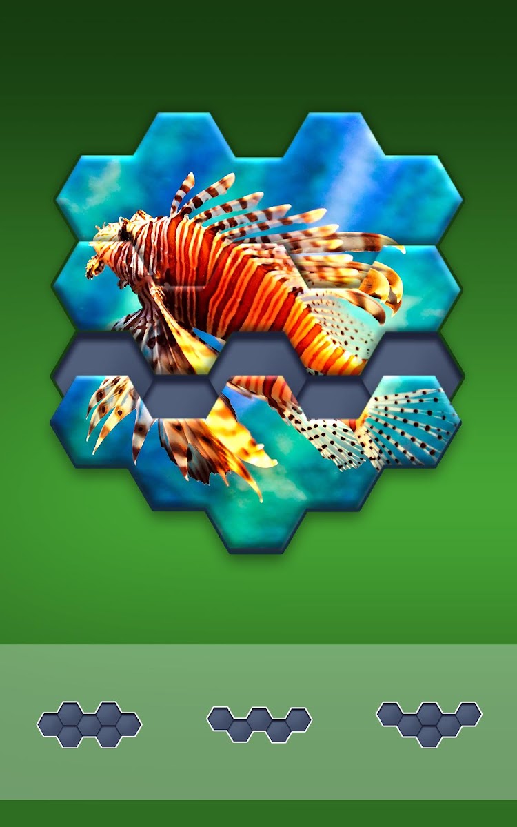 Hexa Jigsaw Puzzle  Featured Image for Version 