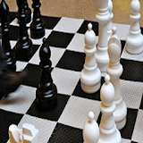 Chess Titans 3D: free offline game icon