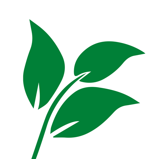 Singletree TV logo