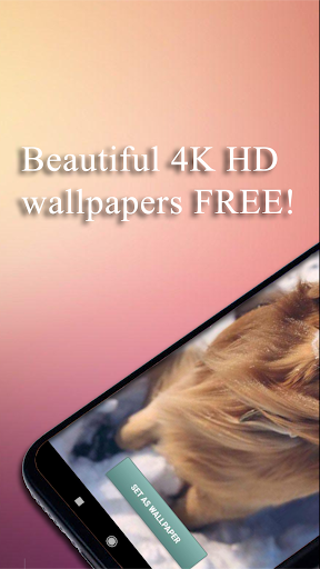 WallDog - Dogs 4k Wallpapers Screen 2