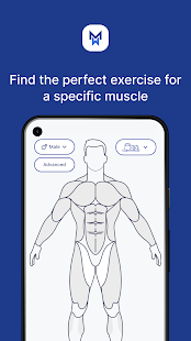 MuscleWiki: Workout & Fitness Screenshot