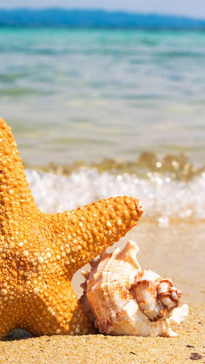 Android application super starfish wallpaper screenshort