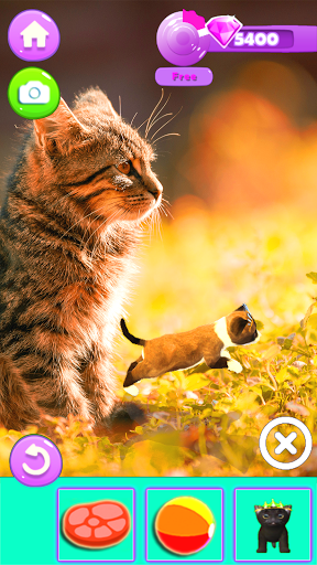 Android application My Augmented Reality Kitty screenshort