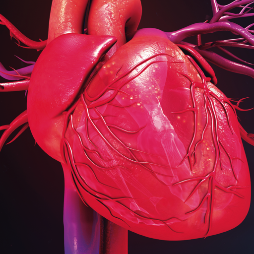 Cardiometabolismo  Icon