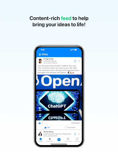 Prim  Global Mentoring