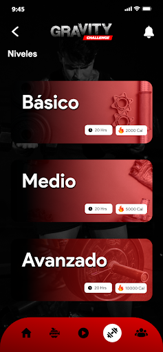 GRAVITY CHALLENGE Screen 2
