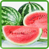 Watermelon Wallpapers icon