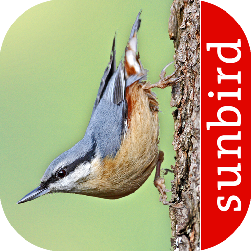 Bird Id - British Birds विंडोज़ पर डाउनलोड करें