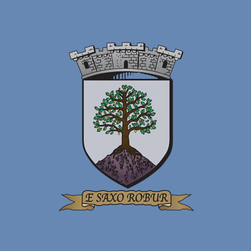 Roure logo