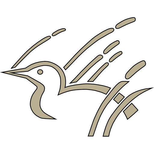 Connect Marshfield logo