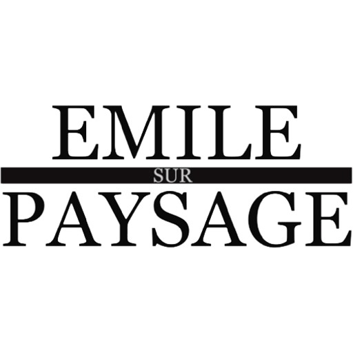 Emile sur paysage  Icon