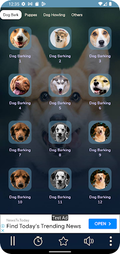 App preview