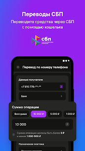 Balance Pay 2