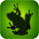 Beautiful Frogs Wallpaper icon