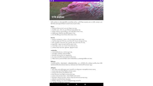 পোল্ট্রির রোগ ও চিকিৎসা