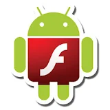 Flash on WebView icon