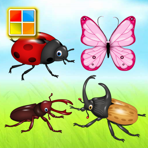 Insects Cards  Icon