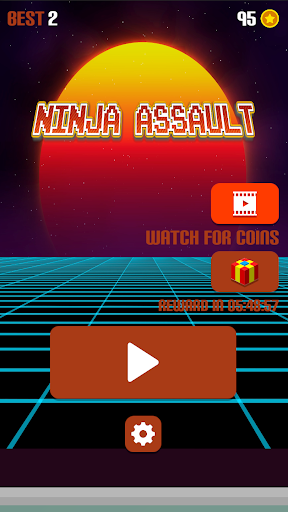 Ninja Assault