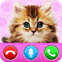 fake call from cat game with little kitten cat app