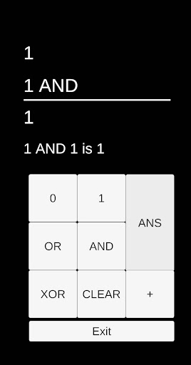 Bitcalc Puzzle Screen 3