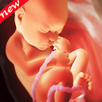 Cover Image of Download Pregnancy Week by Week 2019 1.0 APK